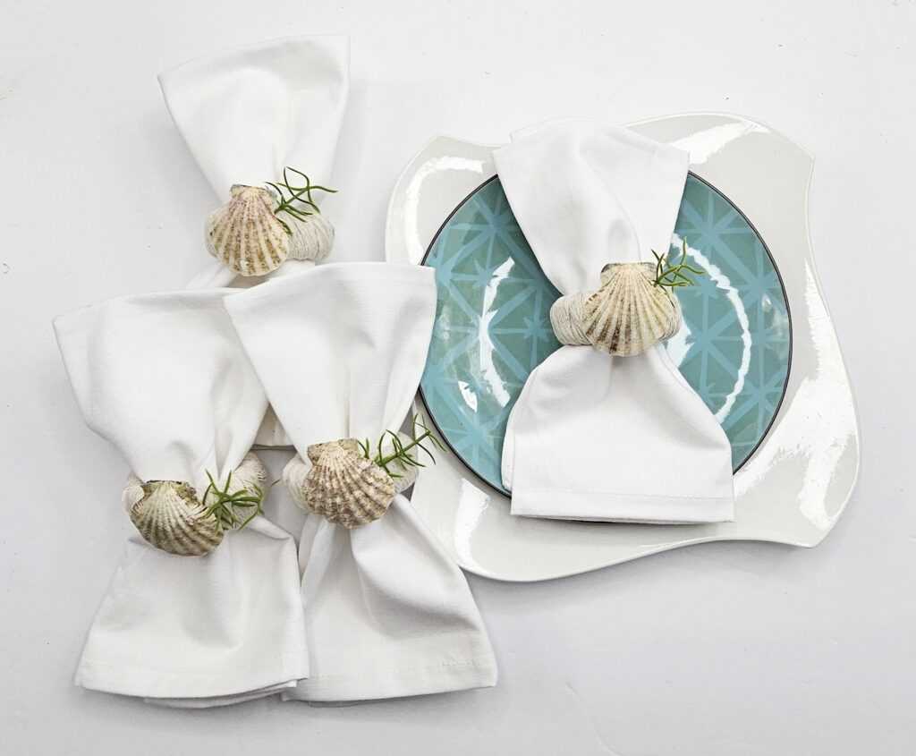 seashell summer crafts